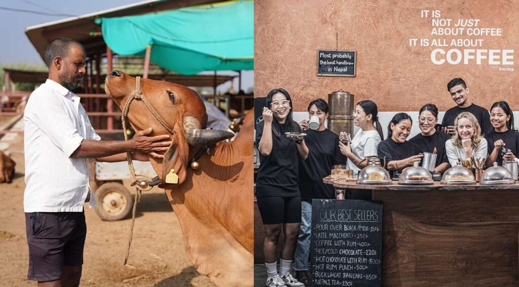 Skills for Employment Excellence and Impact (SEE Impact) Award: Catalysing Change